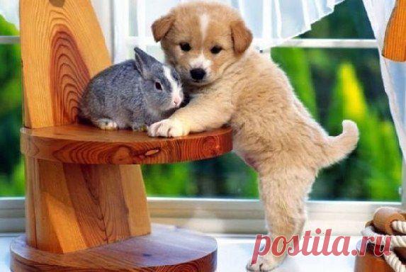 Мой Мир@Mail.Ru