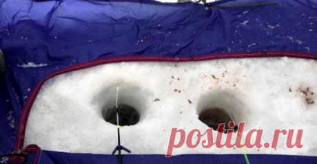 Затон. Сайт Новосибирских рыбаков Здравствуйте, рыбачил сегодня на данной акватории с 10-30до17-00. В этом году первая вылазка, цель была поймать плотву . Пришёл пробурил две лунки, закормил и сел. Рыба клевала подходами, ловил на белый и красный опарыш, мормышка чёрный гвоздик фольфрам с белым и салатовым шариком. В основном все