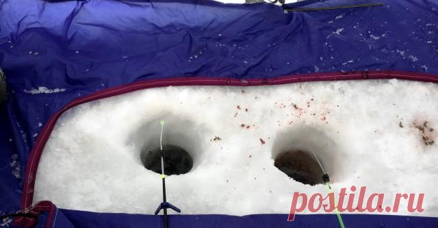 Затон. Сайт Новосибирских рыбаков Здравствуйте, рыбачил сегодня на данной акватории с 10-30до17-00. В этом году первая вылазка, цель была поймать плотву . Пришёл пробурил две лунки, закормил и сел. Рыба клевала подходами, ловил на белый и красный опарыш, мормышка чёрный гвоздик фольфрам с белым и салатовым шариком. В основном все