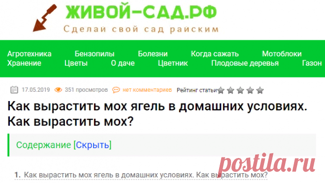 ✅ Как вырастить мох ягель в домашних условиях. Как вырастить мох? - живой-сад.рф