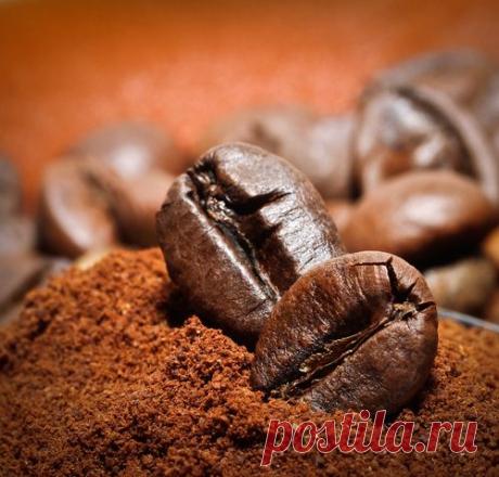 10 способов использовать кофе, о которых вы не знали! - Шаг к Здоровью