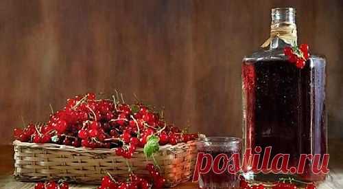 Приготовление домашнего вина. | Наш дом