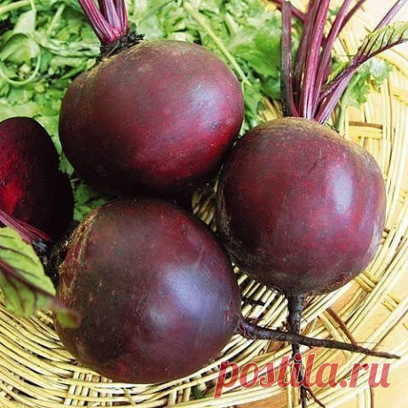 ЛЕЧИМ ЖИРОВИК