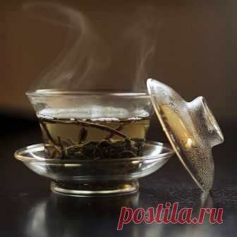 10 неоспоримых доводов раскрывающих всю пользу зелёного чая