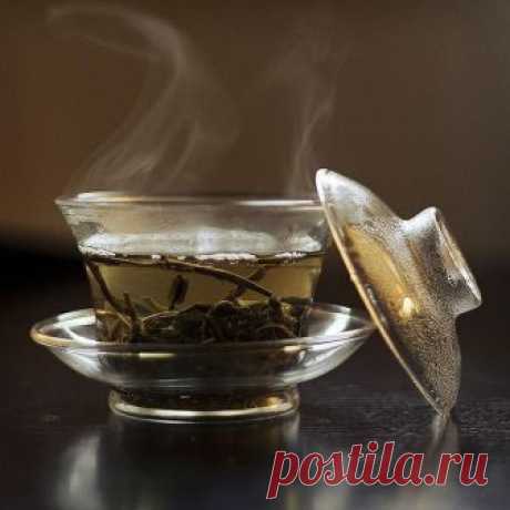 10 неоспоримых доводов раскрывающих всю пользу зелёного чая