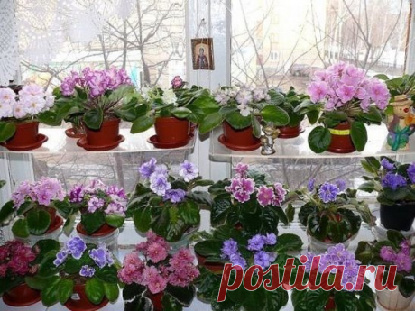 Одноклассники