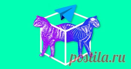 🤔 Минкомсвязь разрешила использовать Telegram, несмотря на блокировку. Мы ничего не поняли Что?