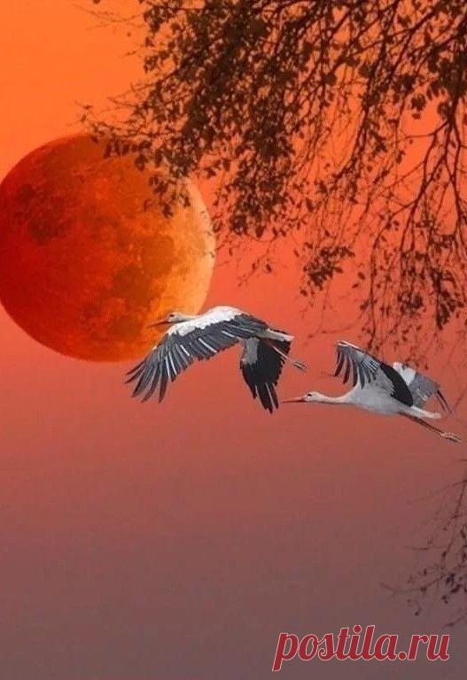 Полезно знать . Советы , Лайфаки . — Разное | OK.RU