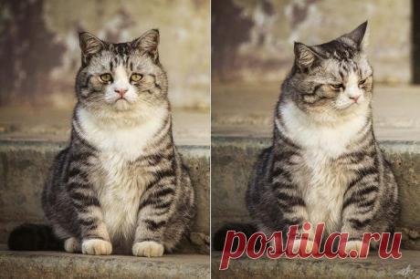Лучшие фотографии прошлого года