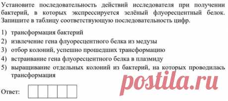Привет! Решим ещё один номер по методам современной селекции. В свое время на биофаке занимались подобным на практике по молекулярной биологии, только у нас была задача чуть сложнее, связать GFP с белками теплового шока. Ответы пишите через 10 точек.