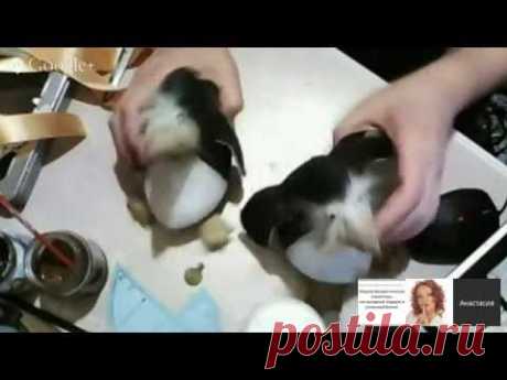 Мастер класс &quot;Семейная пара пингвинов&quot;