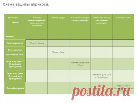 ФОРУМ ВИНОГРАД • Просмотр альбома - Пузенко Наталья