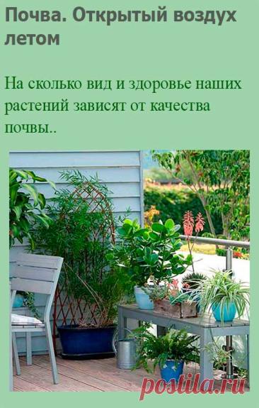 Почва. Открытый воздух летом. Вид и здоровье ваших растений зависят от качества почвы. Хороший субстрат должен быть достаточно питательным, воздухо- и водопроницаемым. Прежние поколения цветоводов обыкновенно составляли специальные почвенные смеси для разных типов растений, которые можно найти в любом специализированном магазине.