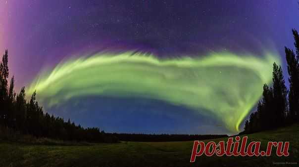 "ТВ КАНДАЛАКША"