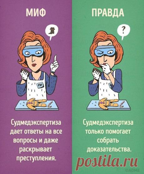 10 мифов, в которые мы верим из-за фильмов