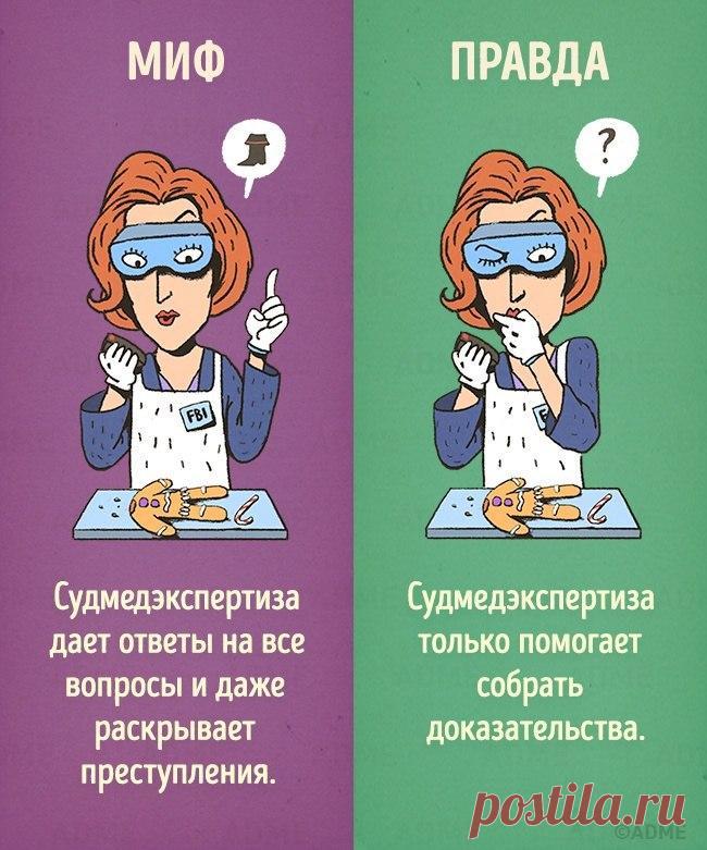 10 мифов, в которые мы верим из-за фильмов