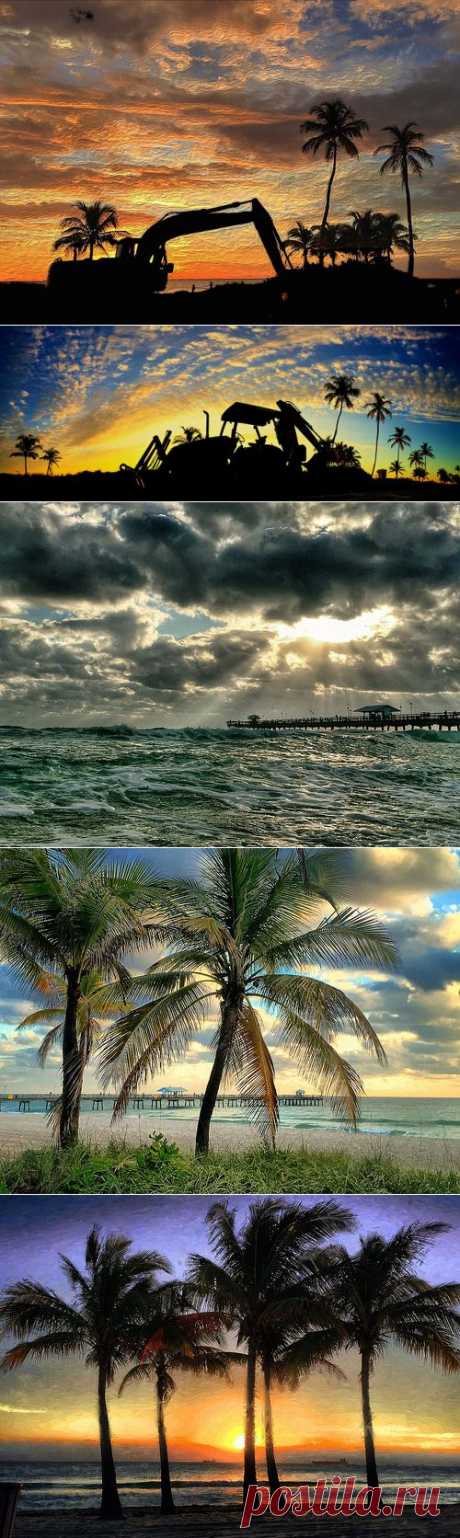 Photostream Энди Ройстон / Форт Лодердейл Солнца: Flickr
