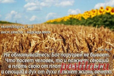 Фото пользователя Владимир, Санкт-Петербург, 51 год