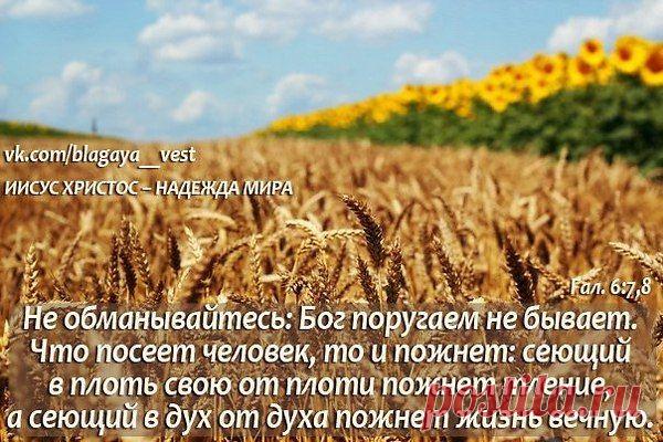 Фото пользователя Владимир, Санкт-Петербург, 51 год