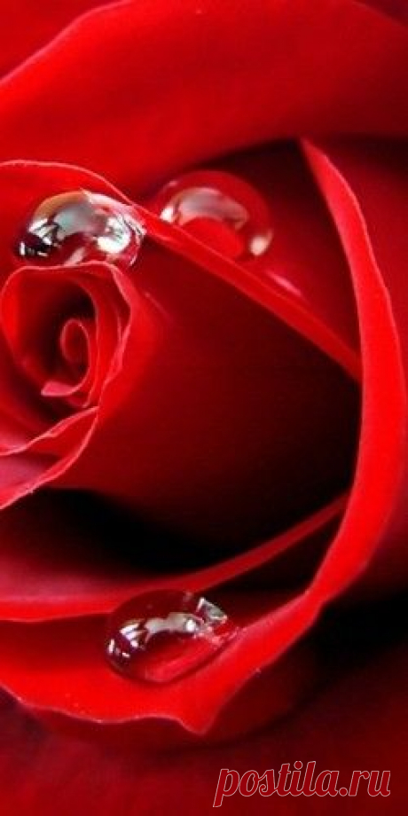 Pinterest: инструмент для поиска и хранения интересных идей