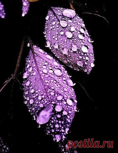 bhKUBD11T1k.jpg (500×650)