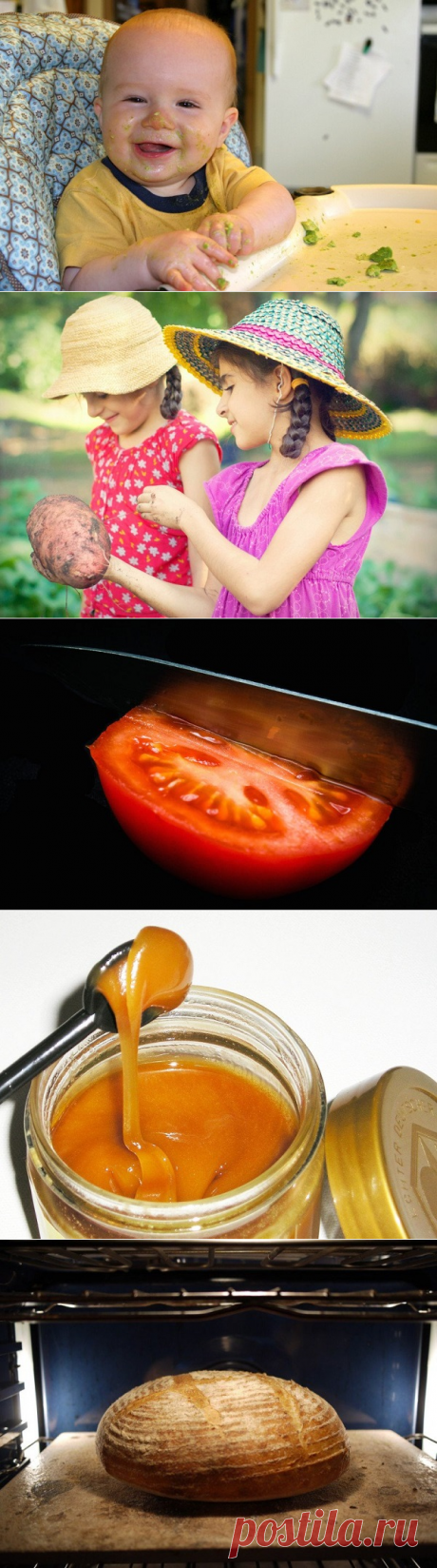 11 продуктов без холодильника