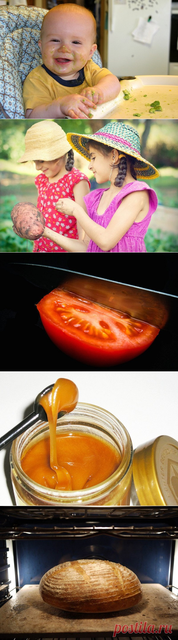 11 продуктов без холодильника