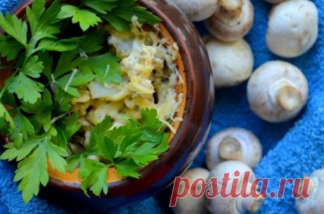 Жаркое с шампиньонами в горшочке — Sloosh – кулинарные рецепты