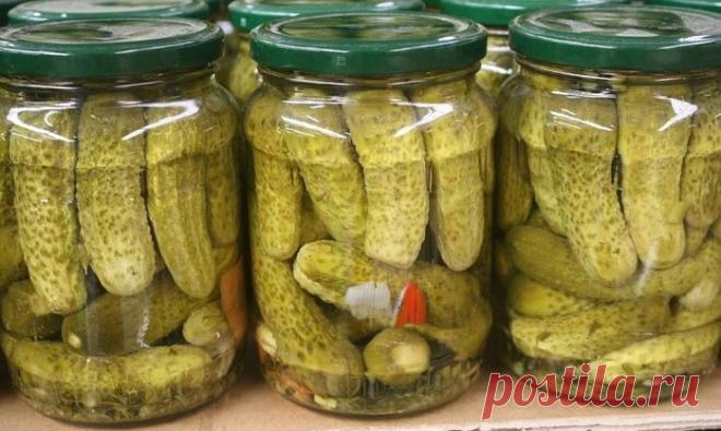 Дневник Montileda