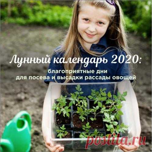 Журнал Огород.ru - Форум для дачников | Огород.ru