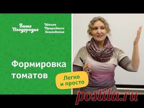 Формировка томатов — легко и просто - YouTube