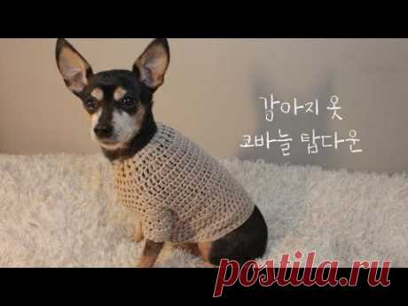 코바늘로 가장 쉽게 탑다운 강아지 옷 뜨기🐶