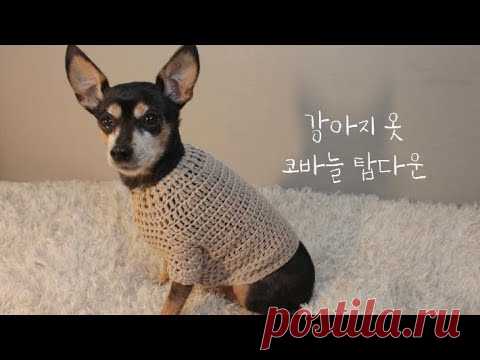 코바늘로 가장 쉽게 탑다운 강아지 옷 뜨기🐶