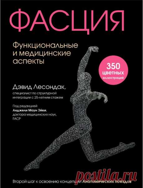 ФАСЦИЯ Функциональные и медицинские аспекты