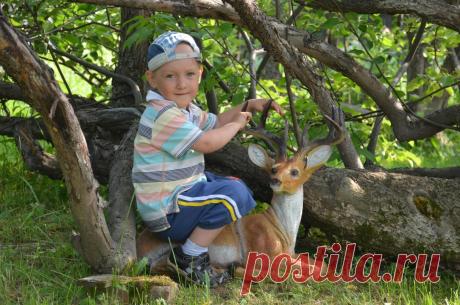 Мишутка в саду