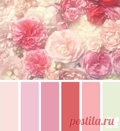 Design Seeds® | for all who ❤ color
