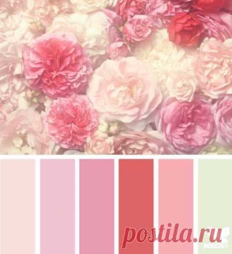Design Seeds® | for all who ❤ color
