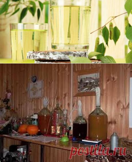 Вино из берёзового сока