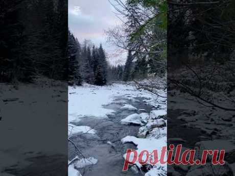 Буковель зимой! Зимняя сказка!