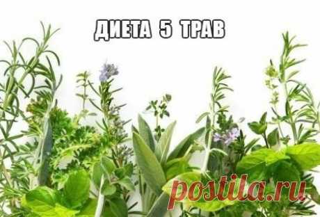 Диета &quot;5 трав&quot;

Представленная диета является одной из самых действенных. Сама по себе диета 5 трав достаточно проста. Нет необходимости постоянно голодать, но лишние килограммы при этом будут исчезать с невероятной скоростью. Именно поэтому приведенная диета пользуется популярностью среди желающих похудеть
