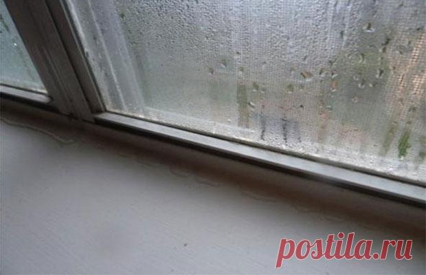Конденсат на пластиковых окнах – как устранить проблему?