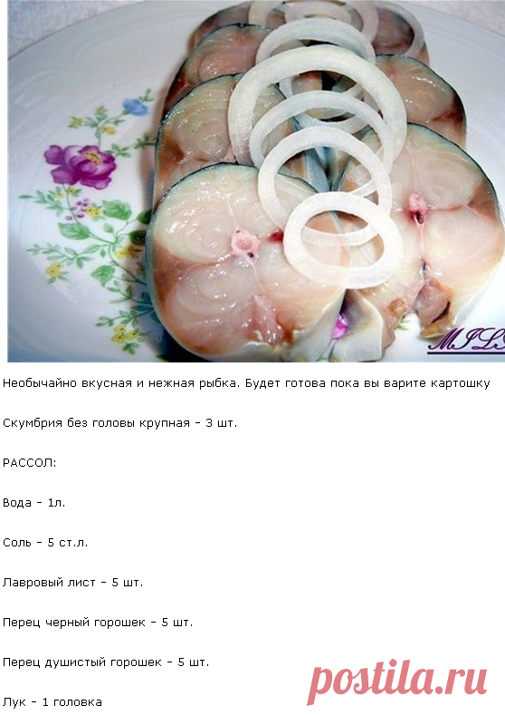 Скумбрия пряного посола 