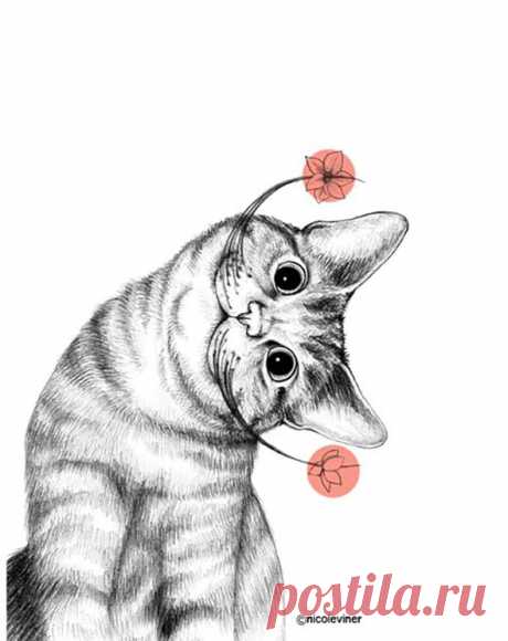 Самые милые нарисованные котики