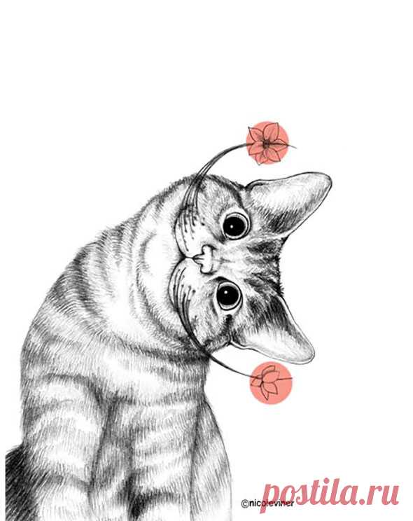 Самые милые нарисованные котики