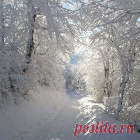 Зимнее волшебство