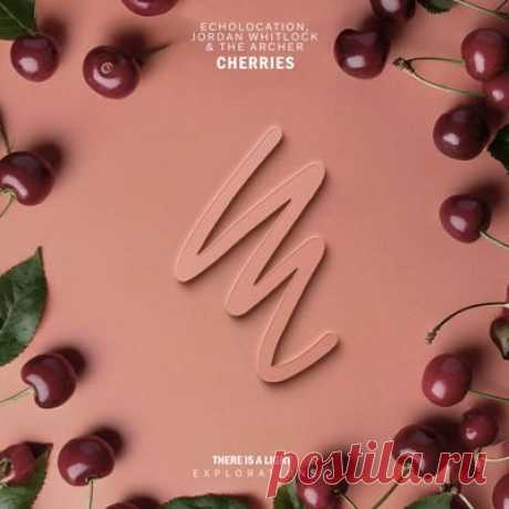 Echolocation, Jordan Whitlock, The Archer – Cherries