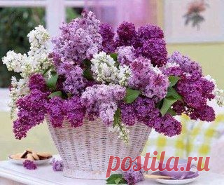 Не секрет