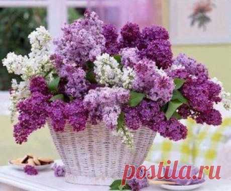 Не секрет