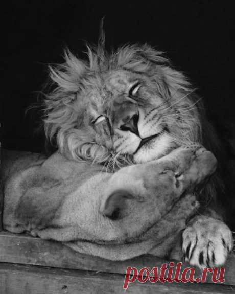 Pinterest