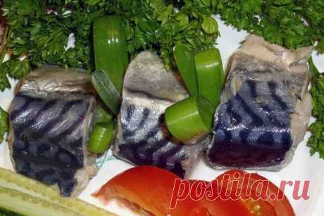 Лучшие рецепты засолки скумбрии